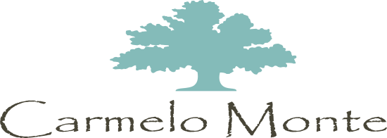 Carmelo Monte S.R.L.